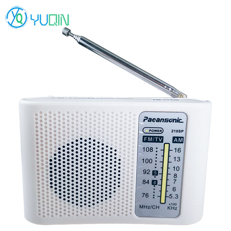 210SP AM/FM Radio Kit DIY Elec - огляд і ціна Diy Electronics Projects For Beginners